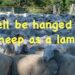 As well be hanged for a sheep as a lamb