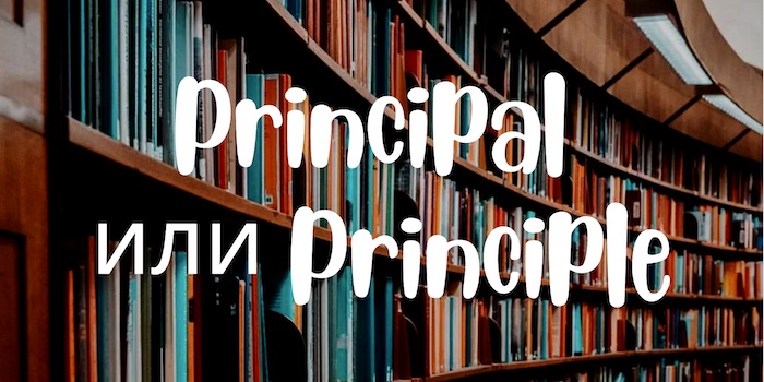разница между Principal и Principle