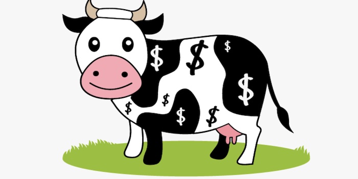 Cash cow