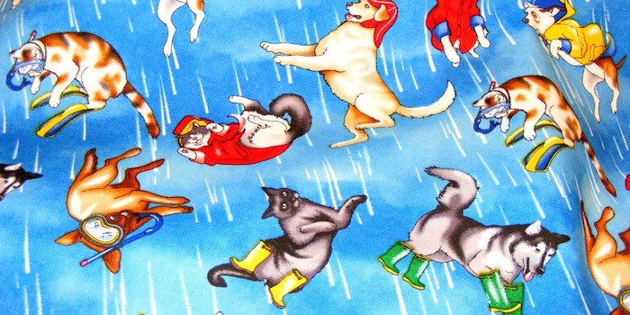 It’s raining cats and dogs
