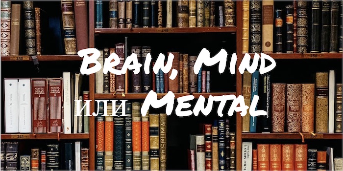 Brain, Mind и Mental