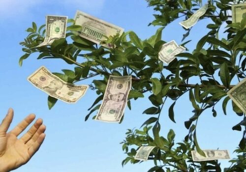 Money doesn’t grow on trees