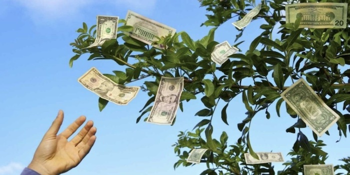 Money doesn’t grow on trees