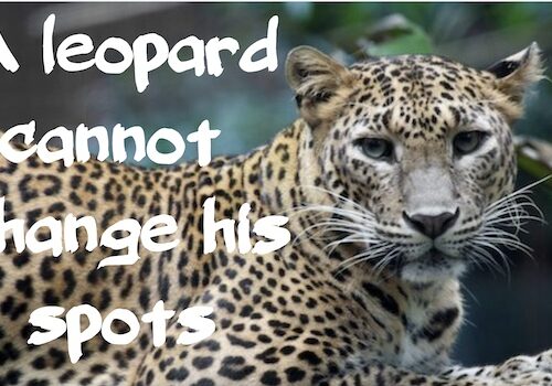 A leopard cannot change his spots