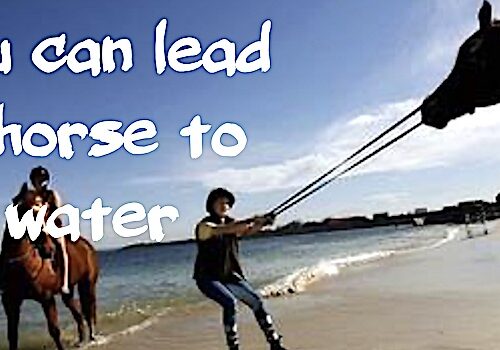 You can lead a horse to water, but you cannot make him drink