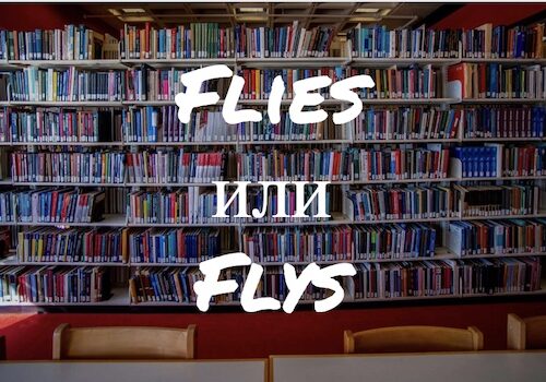 Flies и Flys: как правильно