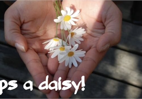 Oops a daisy!