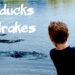 Play ducks and drakes