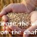 Separate the wheat from the chaff 