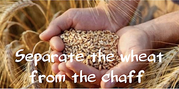 Separate the wheat from the chaff 