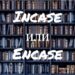 Incase и Encase: как правильно?