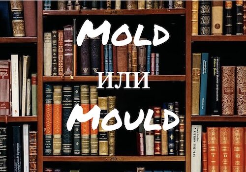 Почему не стоит путать слова Mold и Mould