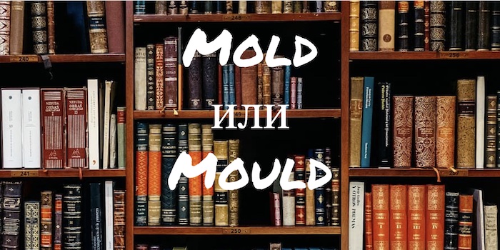 Почему не стоит путать слова Mold и Mould