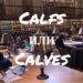 Calfs и Calves