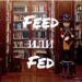 Feed и Fed – в чем разница?